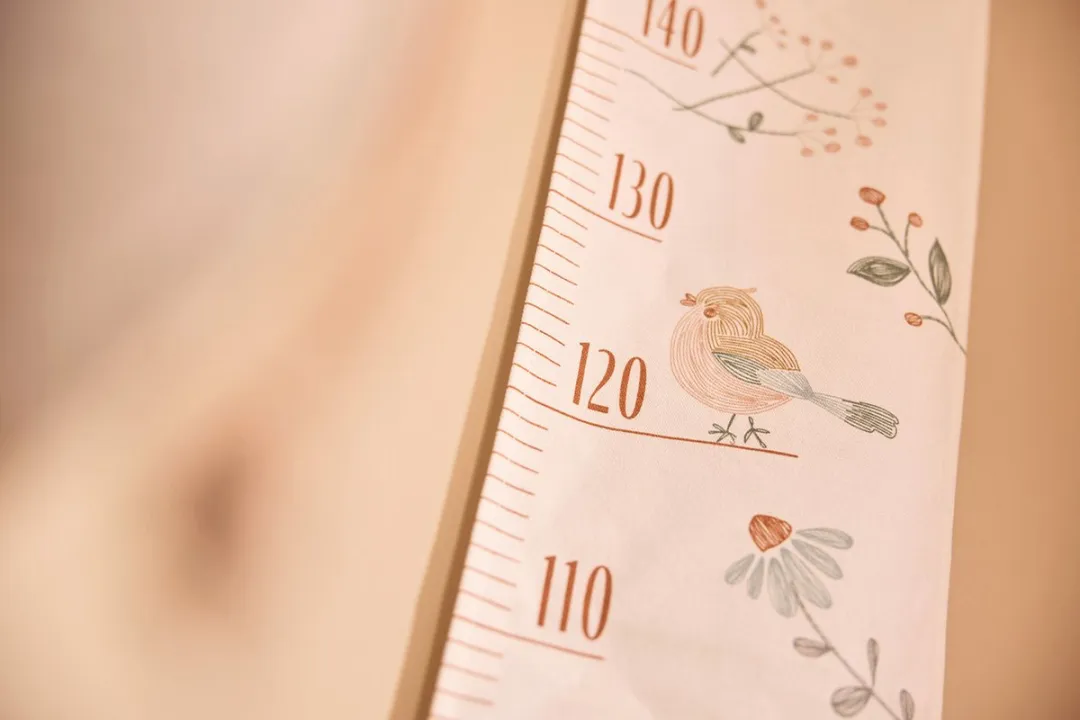 Jollein Groeimeter Lovely Birds