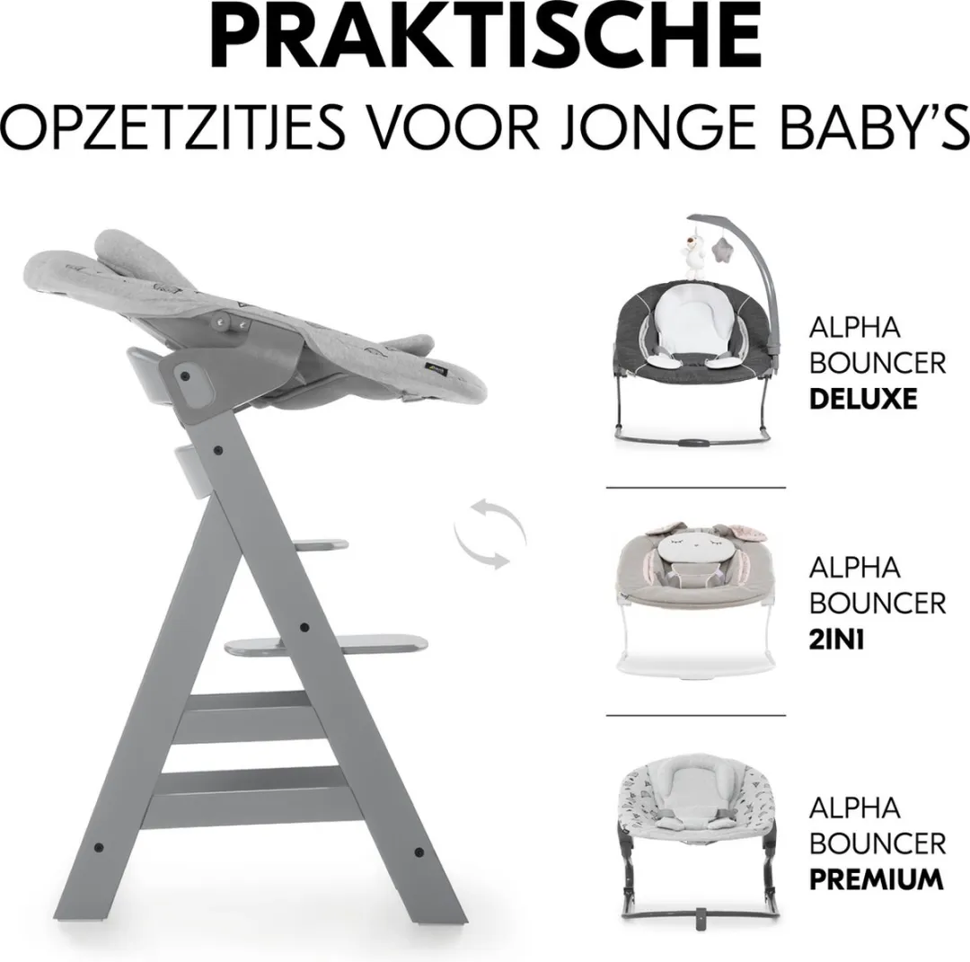 Hauck Alpha+ Kinderstoel - FSC Gecertificeerd Beukenhout - Grijs