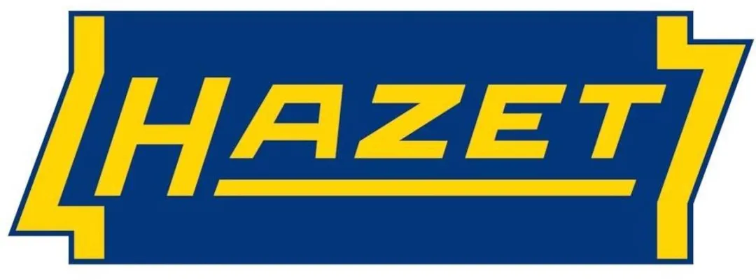Hazet 9035-050 Naaldbikhamer Reservenaalden