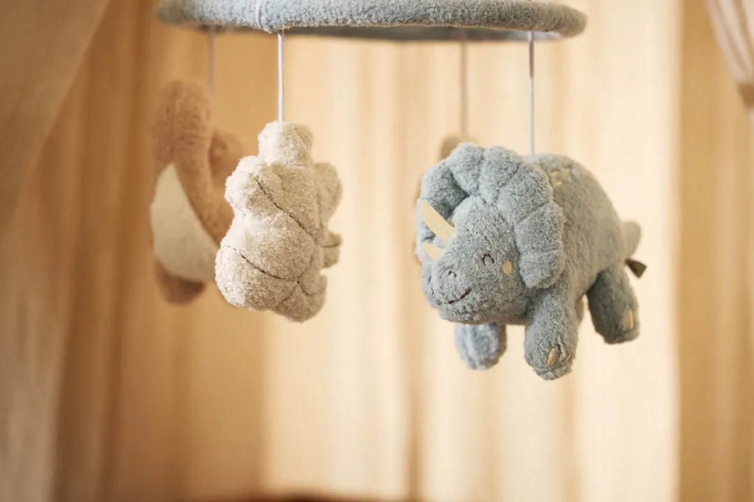 Jollein Baby Mobiel Roarsome Boxmobiel