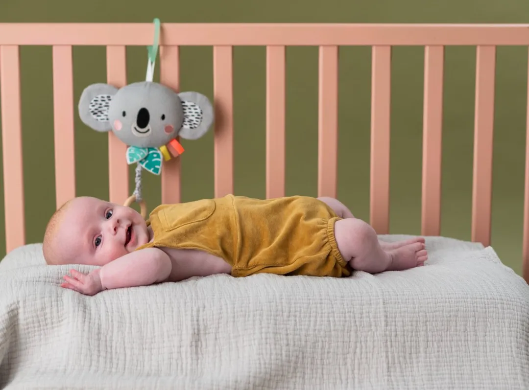 Taf Toys Kimmy Musical Koala Muzikaal Hangspeeltje