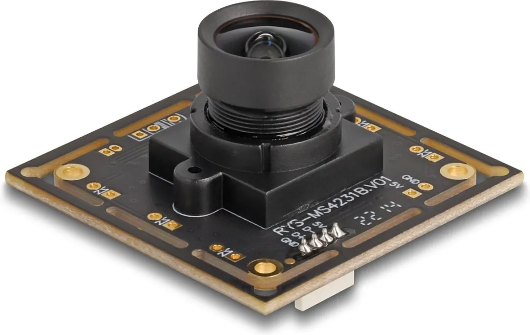 Delock 12064 Webcam 2,1 MP - USB 2.0 - Zwart