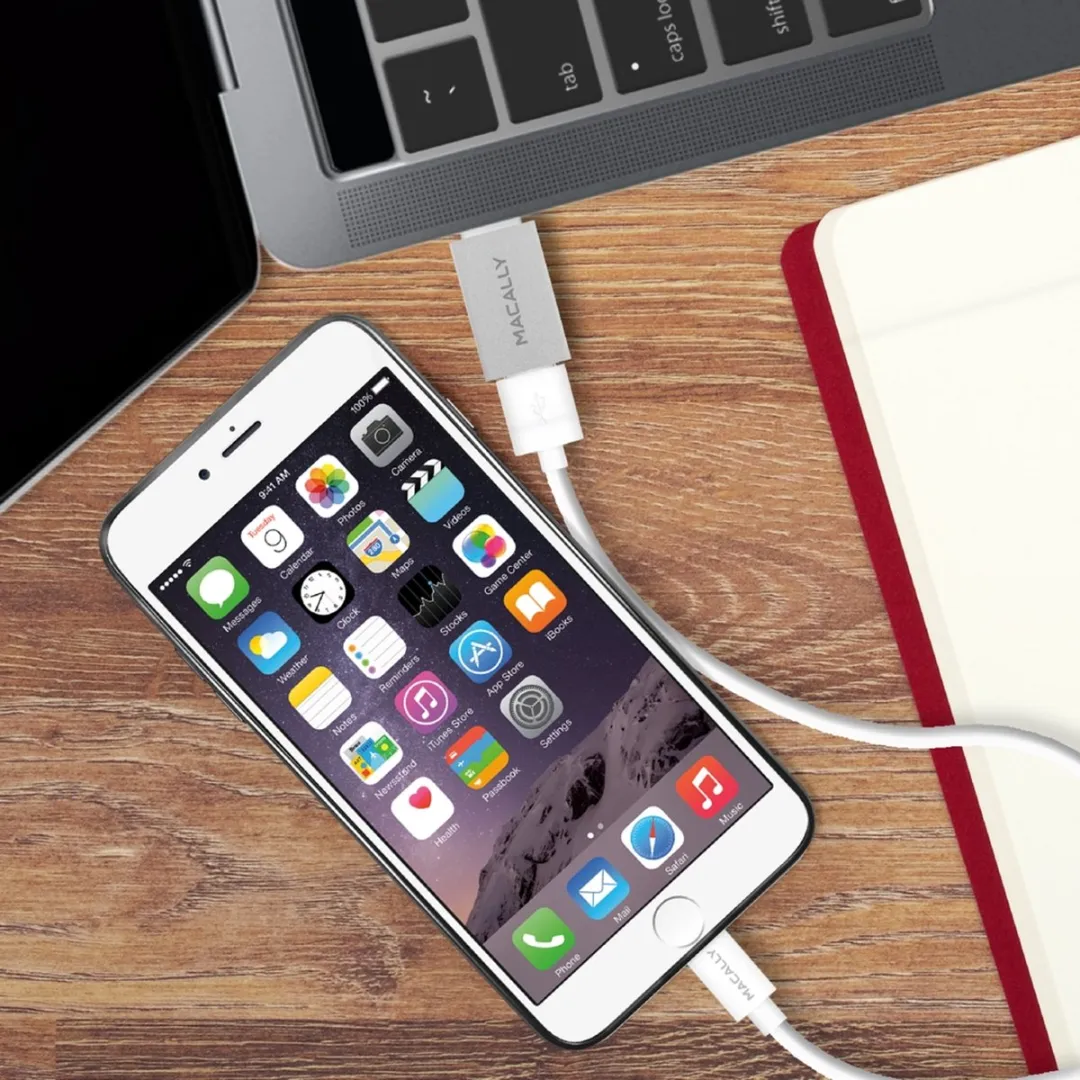 Macally UCUAF2 USB-C naar USB-A-adapter - 2 Stuks - Zilverkleurig