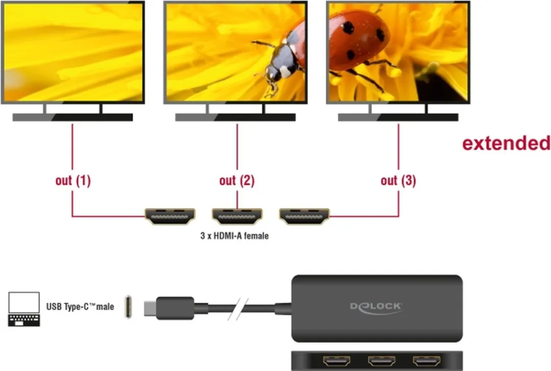 Delock 88040 Interface Hub - 3x HDMI - Zwart