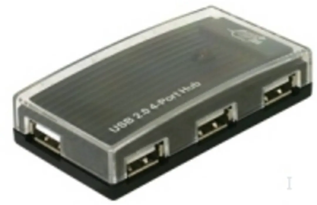 Delock USB 2.0 HUB 4 Poorten - Zwart