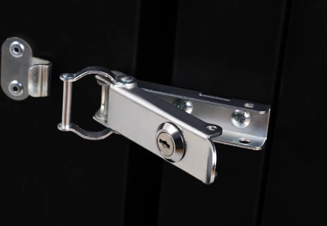 Digitus DN-19 12U Wandrek 100kg - Zwart