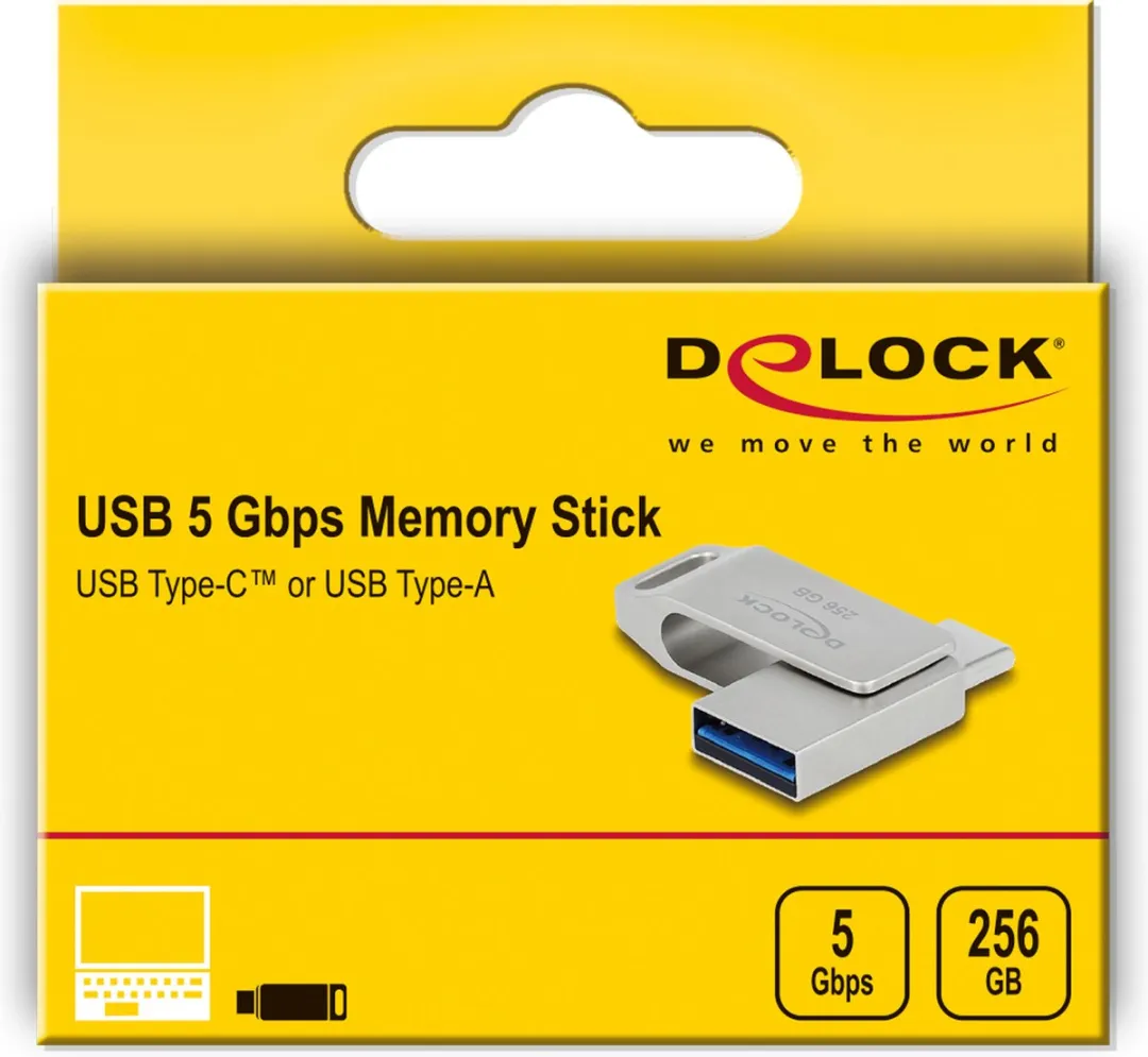 Delock 54008 USB Flash Drive 256GB - Grijs