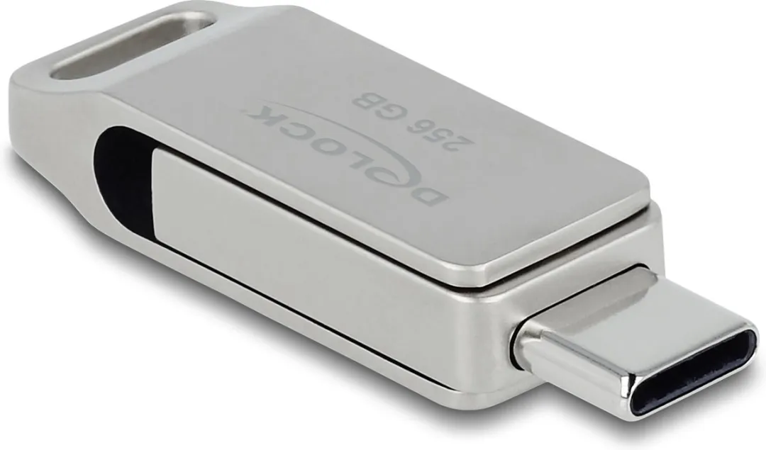 Delock 54008 USB Flash Drive 256GB - Grijs