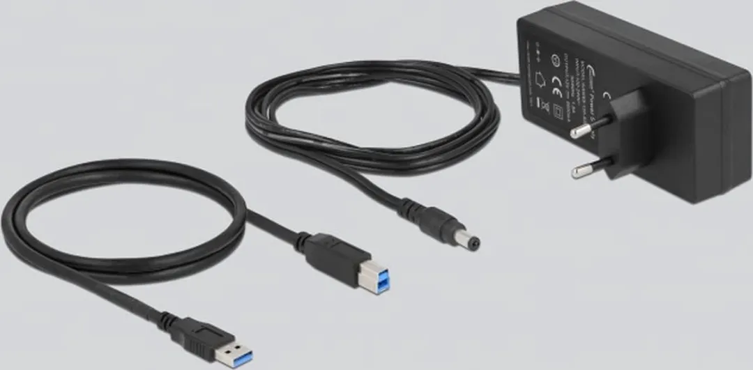 Delock USB Hub 10 Poorten 63670 - Grijs