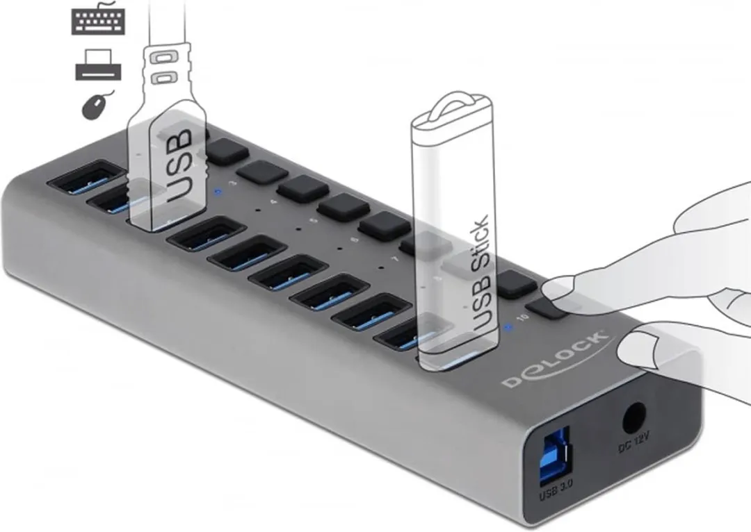 Delock USB Hub 10 Poorten 63670 - Grijs