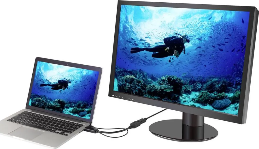 Renkforce RF-4777274 HDMI naar DisplayPort Adapterkabel - Zwart
