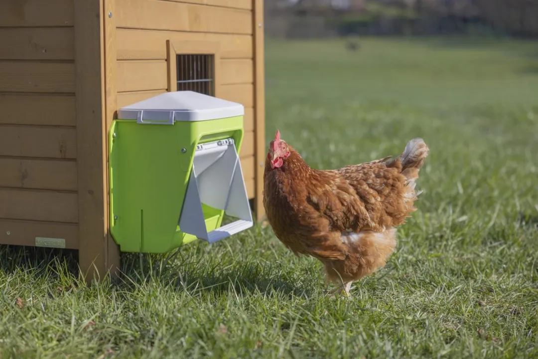 Kerbl SmartCoop Automatische Voederbak 7,5kg - met beschermklep - afbeelding 2 van 6
