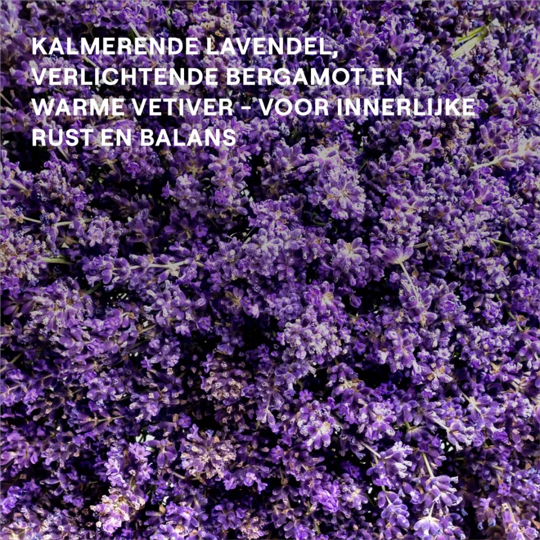 Weleda Relax Douchecrème Lavendel Bergamot Vetiver 6x200ml