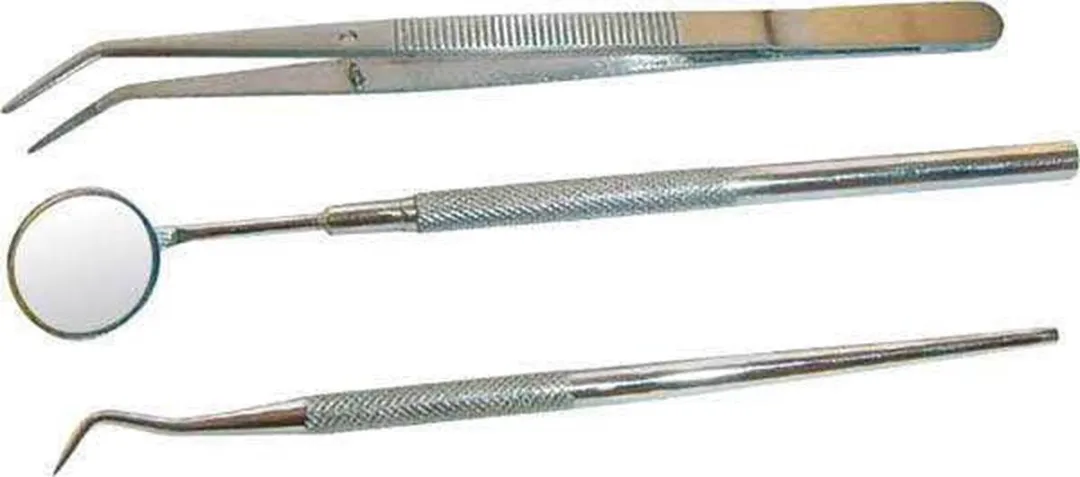 Westfalia Tandarts Set