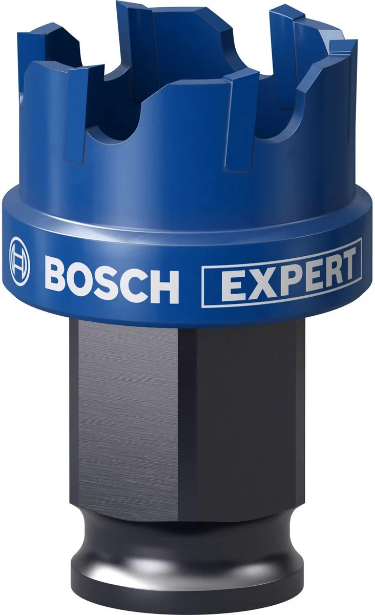 Bosch Expert Plaatmetaal Gatenzaag 25x40mm