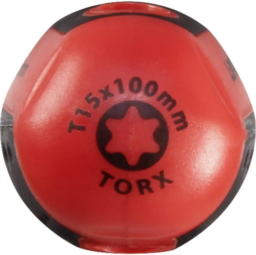 TOOLCRAFT Torx TX15 Schroevendraaier 100mm