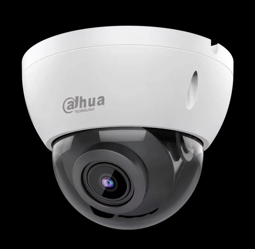 Dahua IPC-HDBW2841E-S-0280B Beveiligingscamera - 4MP - 2.8mm - Zwart