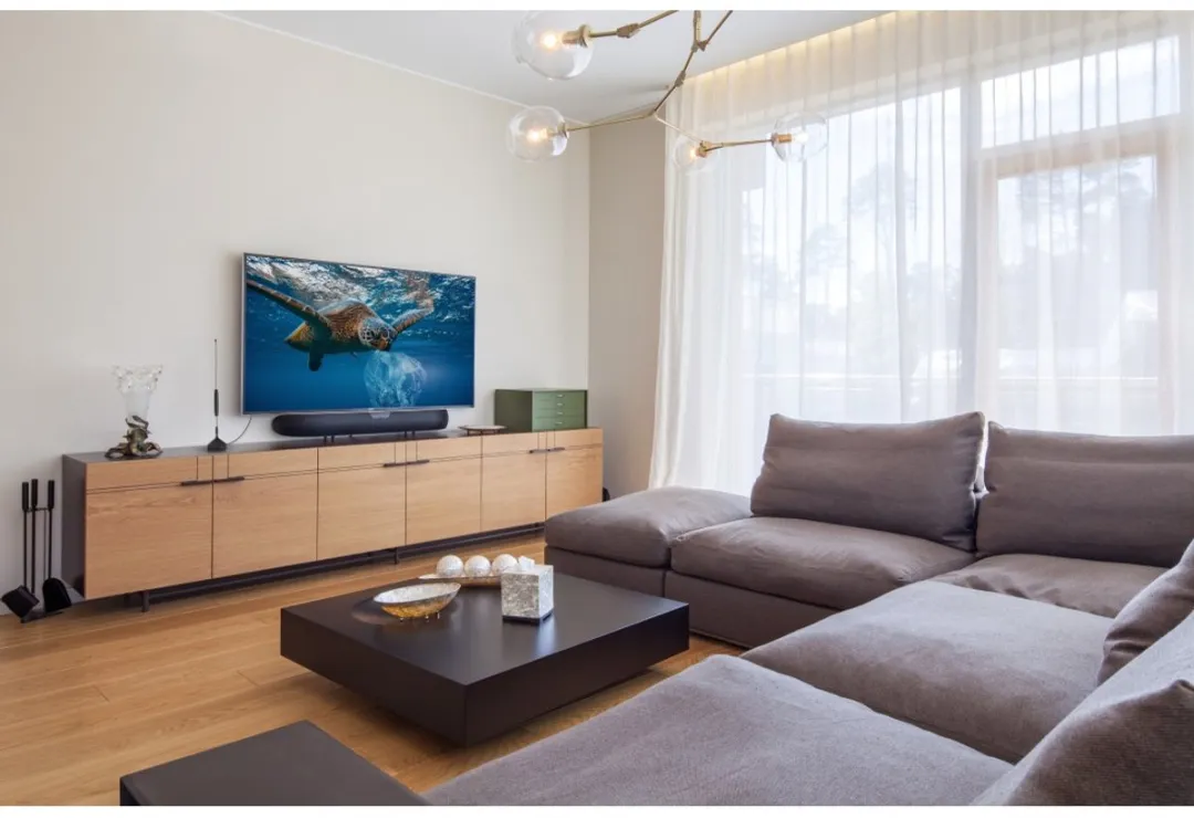 Hama Kamerantenne Basic DAB+/DVB-T2/FM - Zwart - 360mm