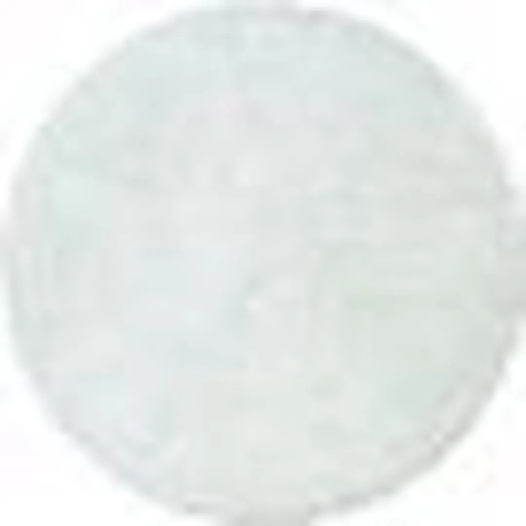 Proxxon - Lamswol Polijstsch 50mm 2 St. (Pr28664)