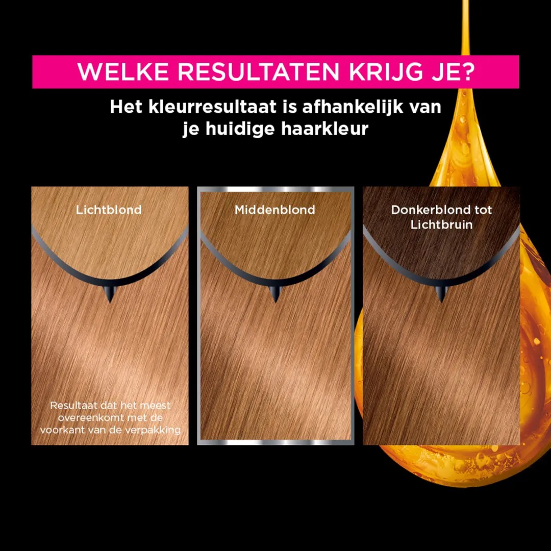 Garnier Olia Goud Asblond 8.31 Haarverf - 232g
