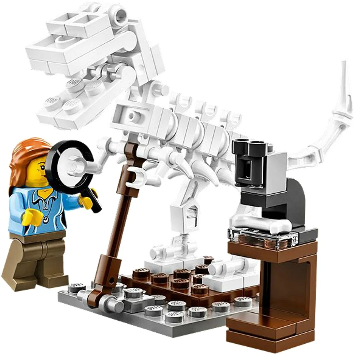 LEGO Ideas Research Institute 21110 - 165 Stukken - 3 Minifiguren