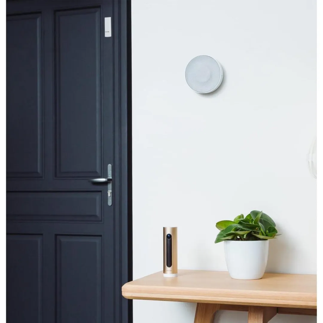 Netatmo Welcome Binnencamera - Goud - afbeelding 3 van 6