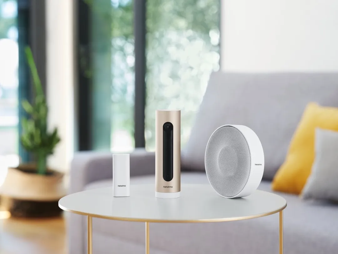 Netatmo Welcome Binnencamera - Goud - afbeelding 4 van 6