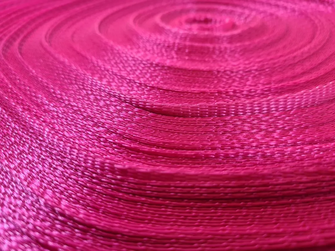 Jumbo Roze Spanband 25mm 5m met ratel - 2 Stuks