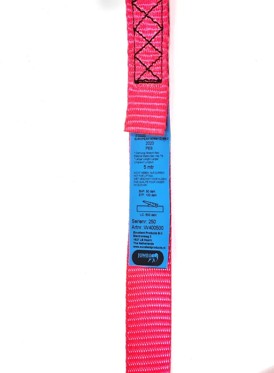 Jumbo Roze Spanband 25mm 5m met ratel - 2 Stuks