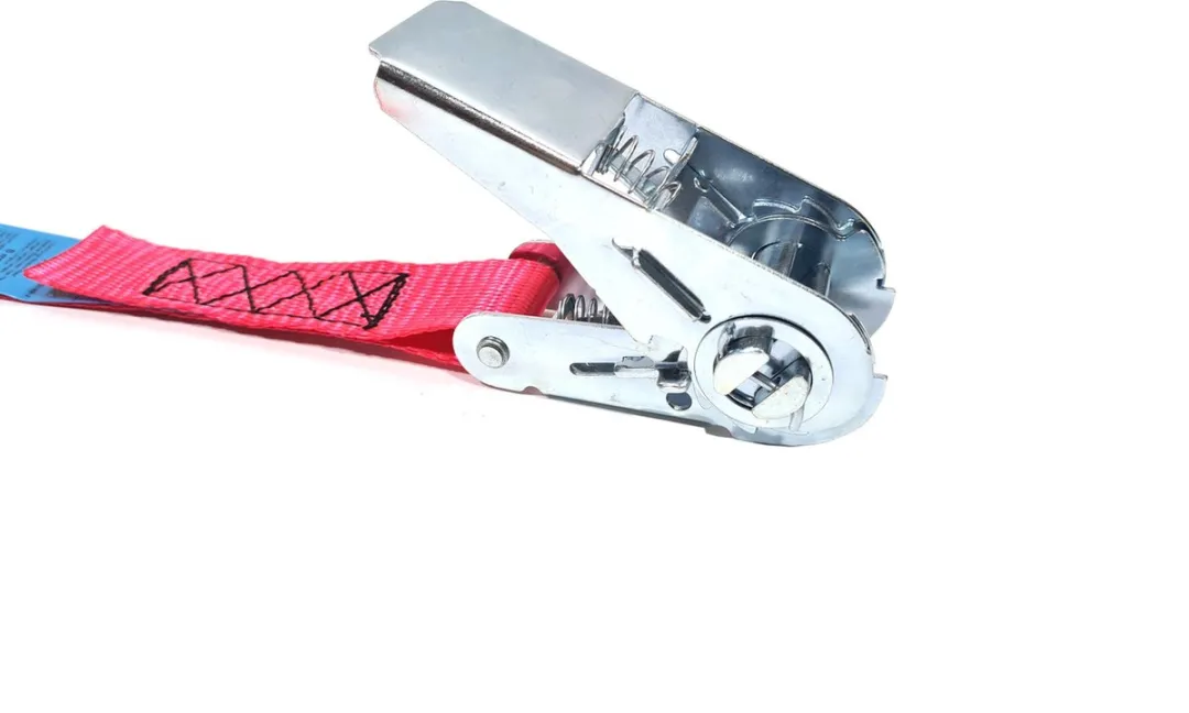 Jumbo Roze Spanband 25mm 5m met ratel - 2 Stuks