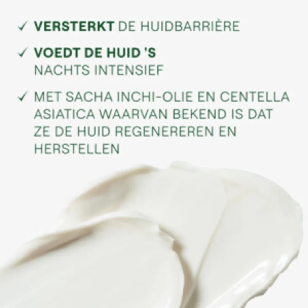Weleda Skin Food Nachtcrème 40ml - 12 Stuks