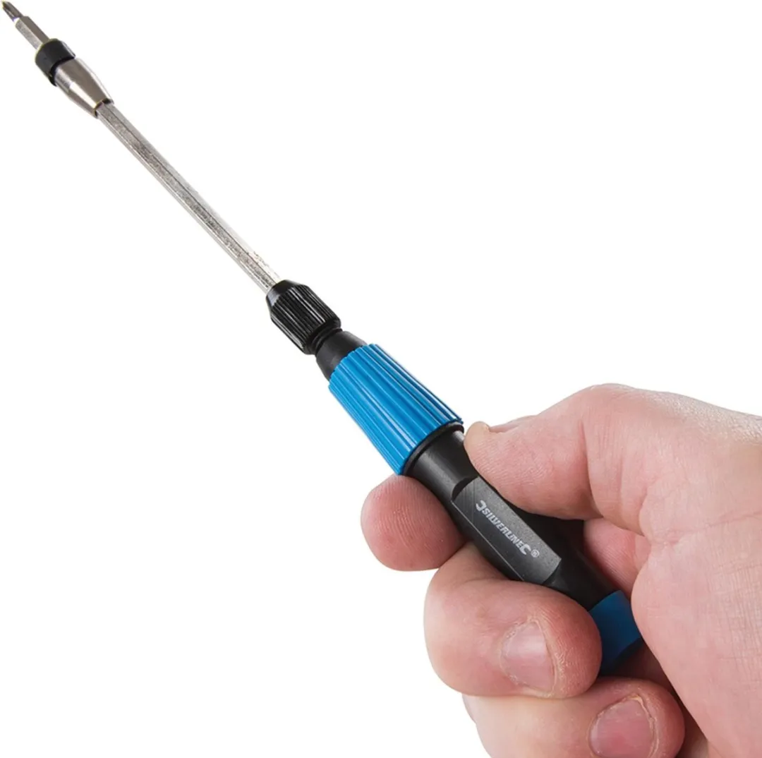 Silverline 32-delige Precisie Schroevendraaier Bit Set 810852 - Blauw/Zwart