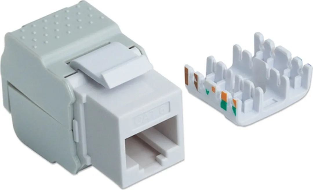 Intellinet 167062 Keystonemodule