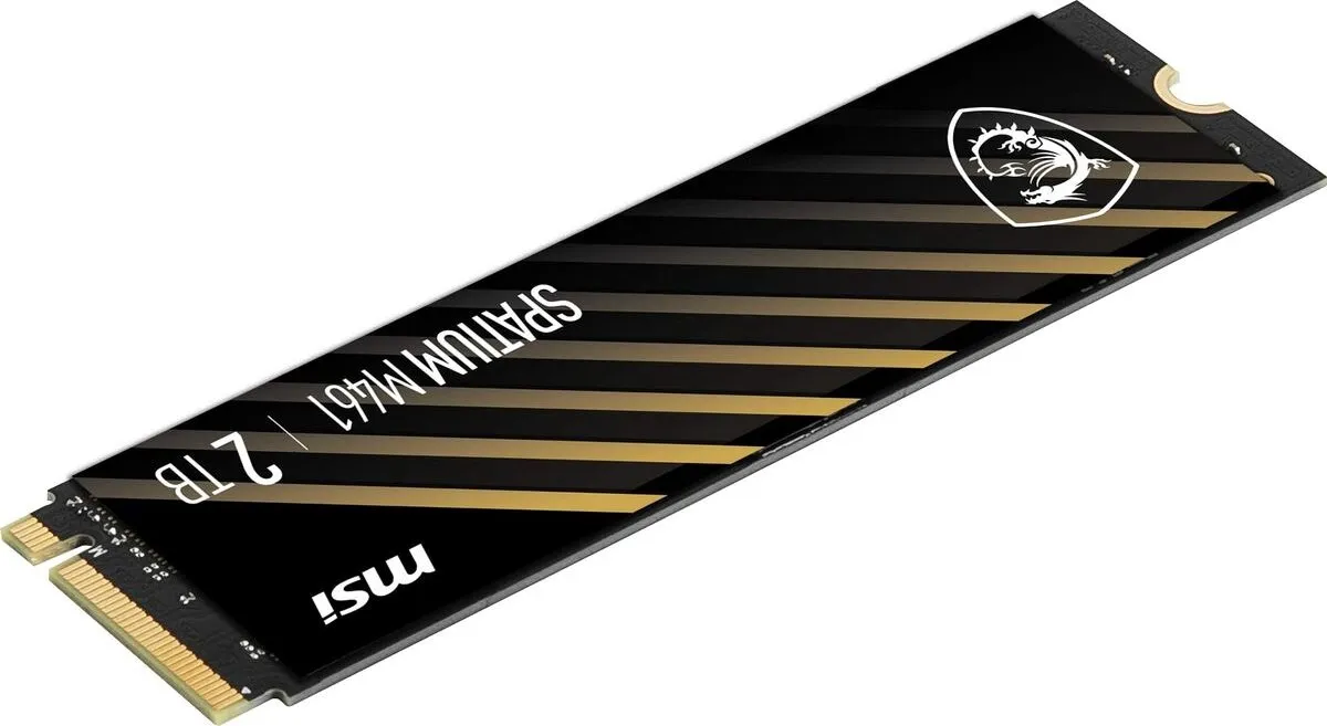 MSI SPATIUM M461 S78-440Q550-P83 NVMe M.2 SSD - 2TB
