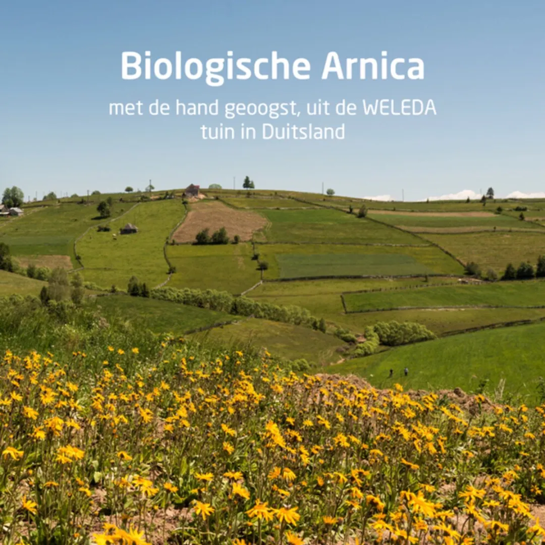 Weleda Arnica Douchegel 200ml - 6 Stuks