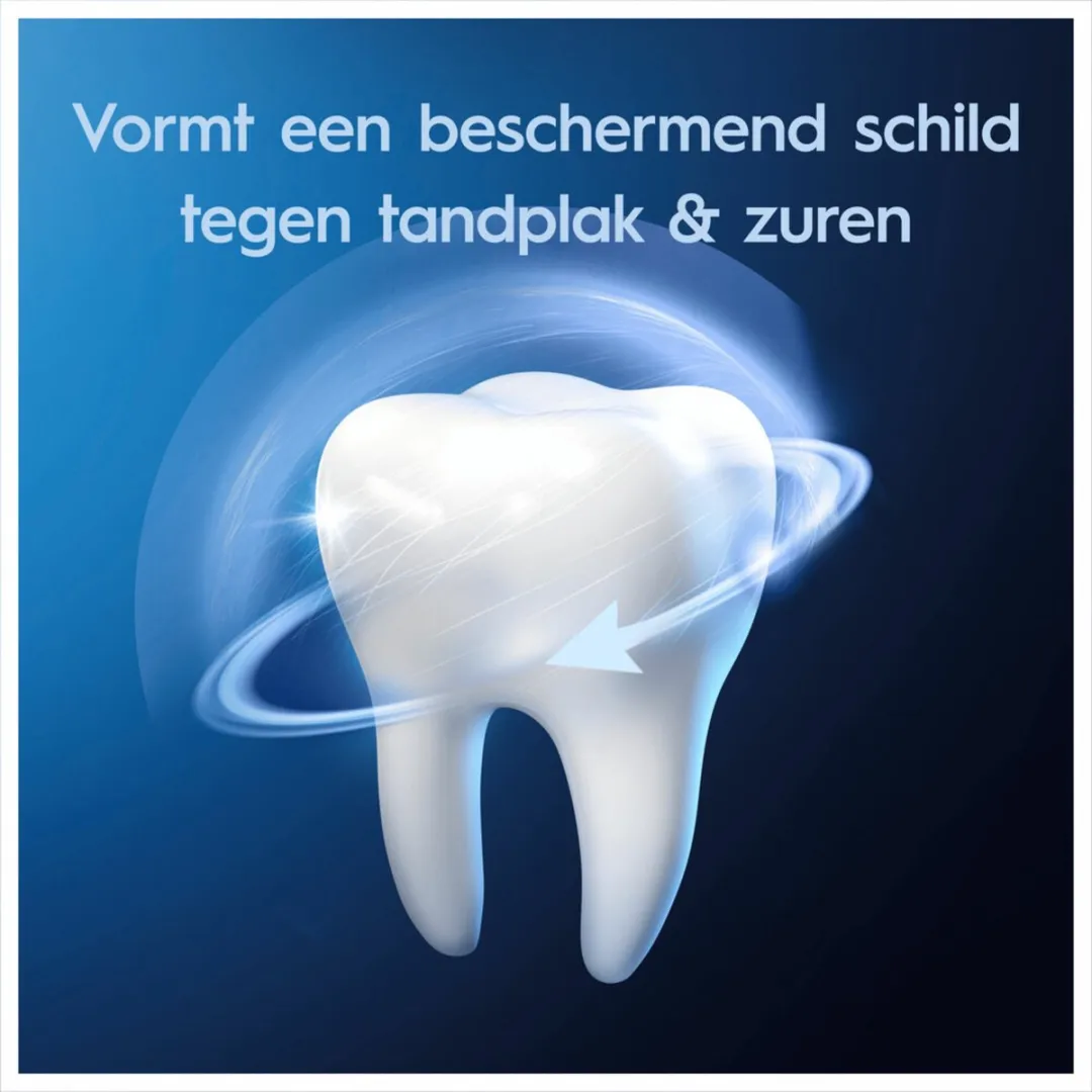 Oral-B Pro-Expert Tandpasta Extra Frisse Munt 75ml - 12 Stuks