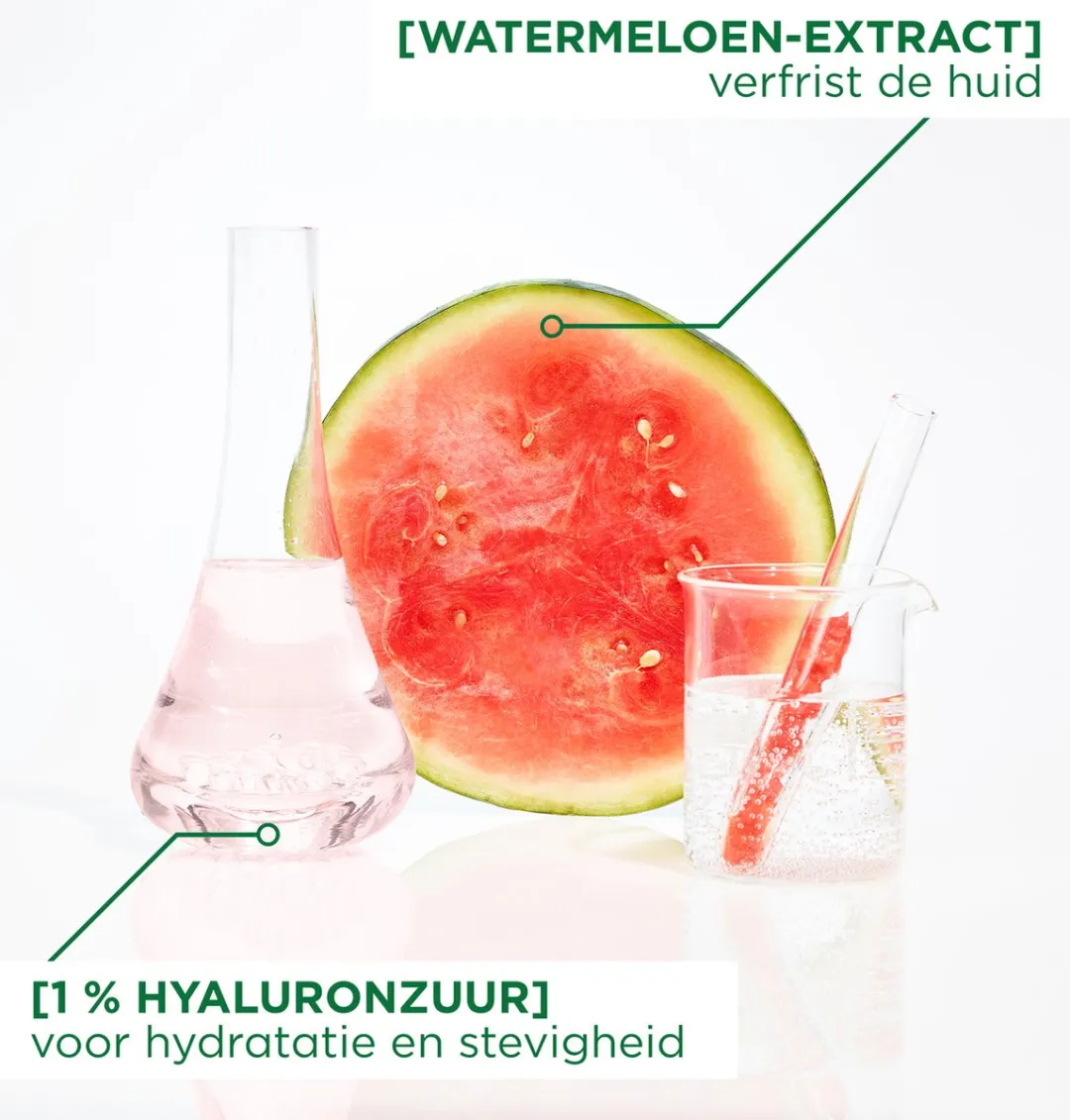 Garnier SkinActive Watermeloen Hyaluronzuur Sheet Mask 15ml - Roze