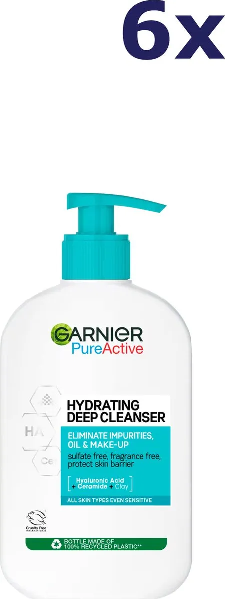 Garnier PureActive Gezichtsreiniger 6x250ml