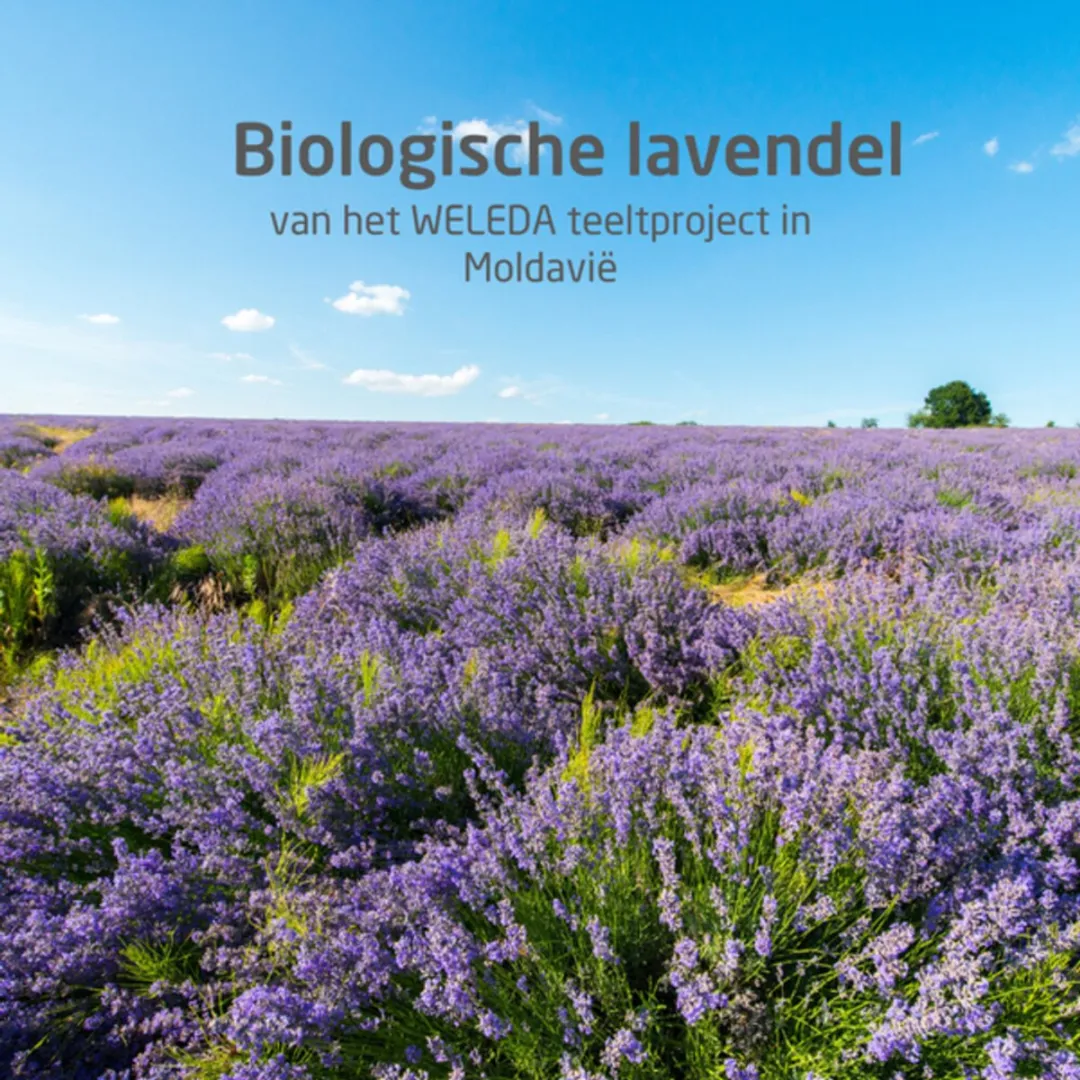Weleda Ontspanningsbadmelk Lavendel 200ml