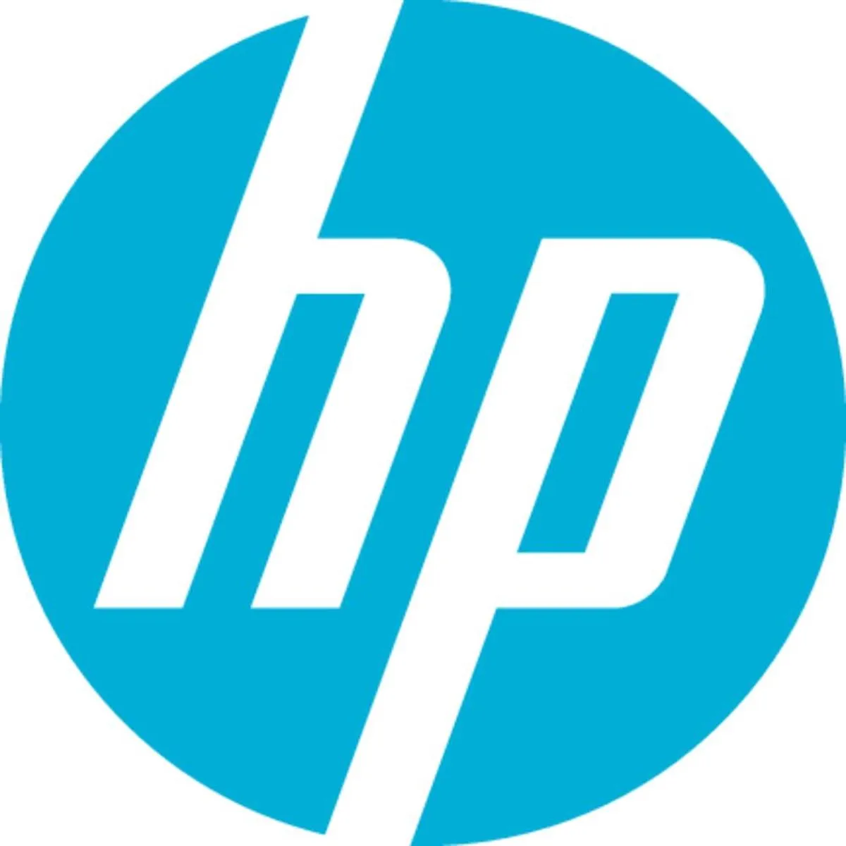 HP CD-R Discs 700MB - 50 Stuks