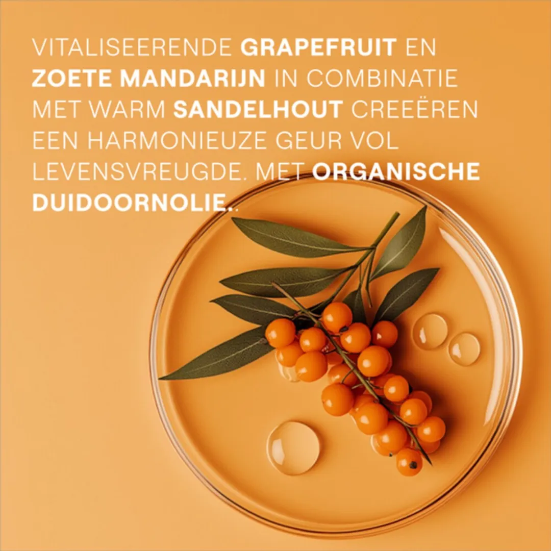 Weleda Duindoorn Vitality Douchecrème 200ml - 4 Stuks