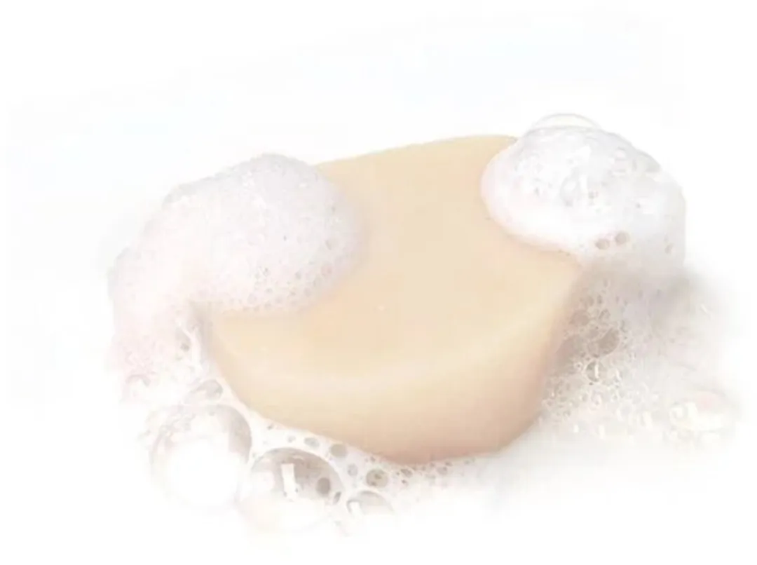 Garnier Loving Blends Honing Goud Shampoo Bar 71g