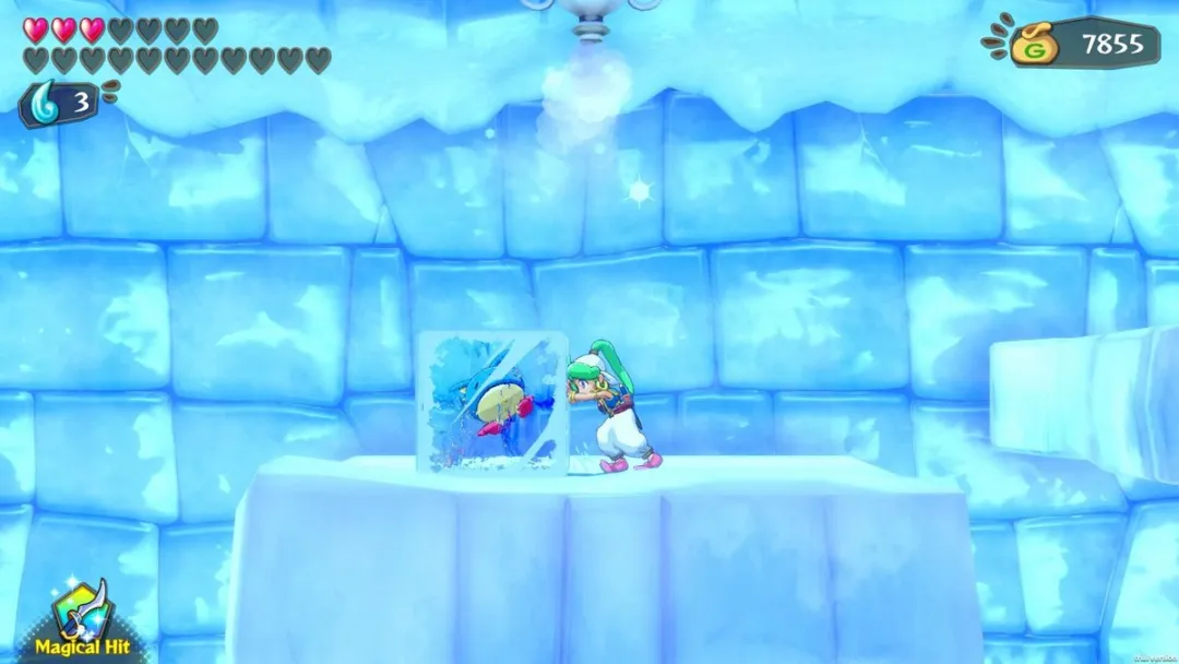 ININ Games Wonder Boy Asha in Monster World - Gamecard