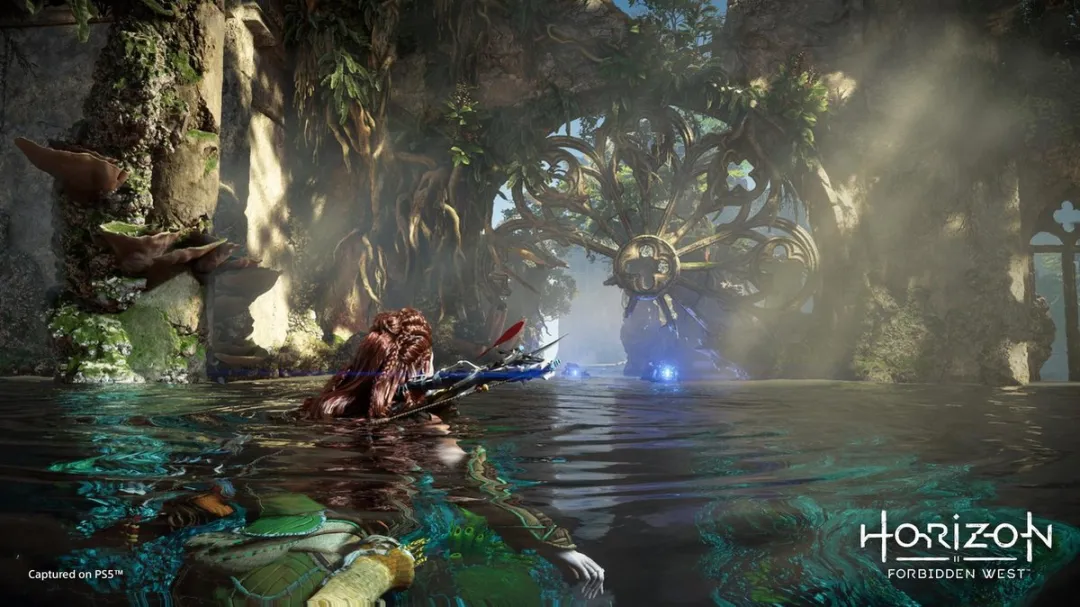 Sony Horizon Forbidden West PS4