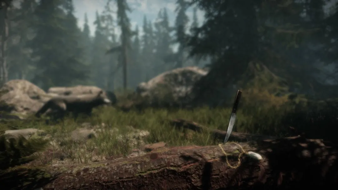 Maid of Sker Code in a box