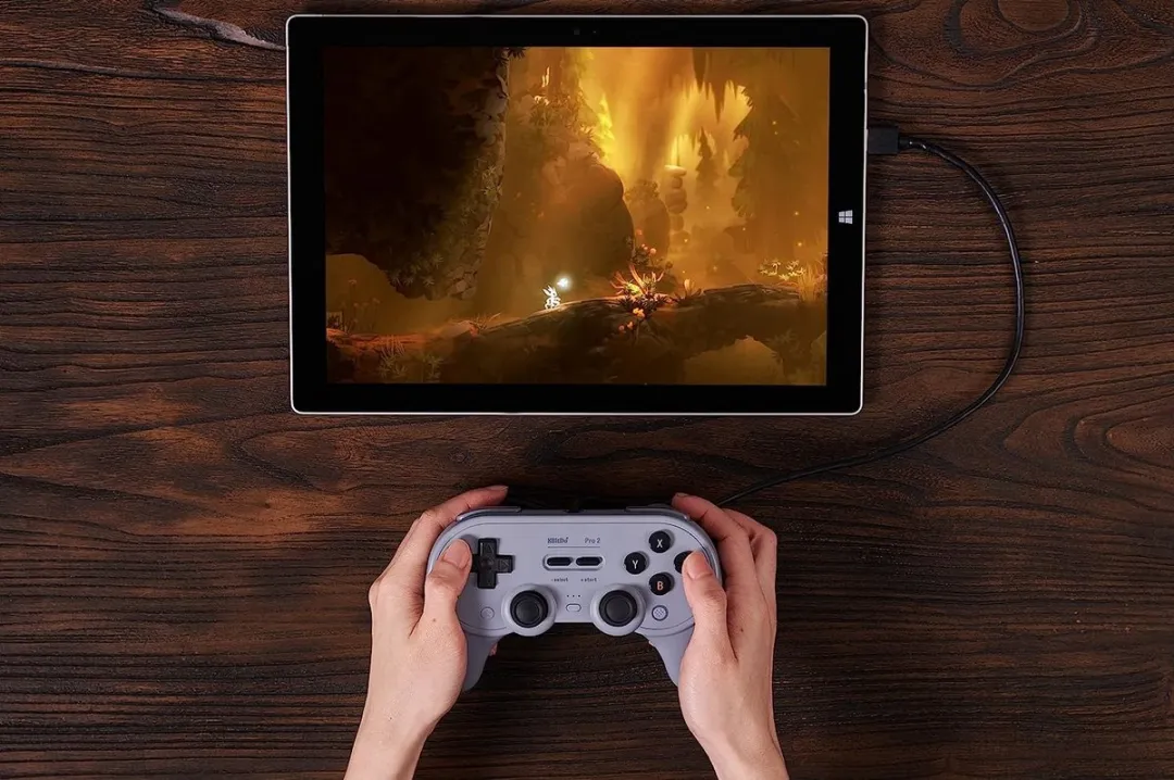 8Bitdo Pro 2 Wired Gamepad - Grijs
