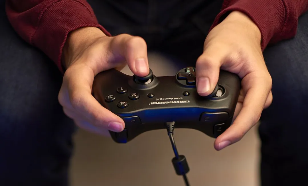 Thrustmaster Dual Analog 4 Gamepad - USB - 12 Knoppen - Zwart