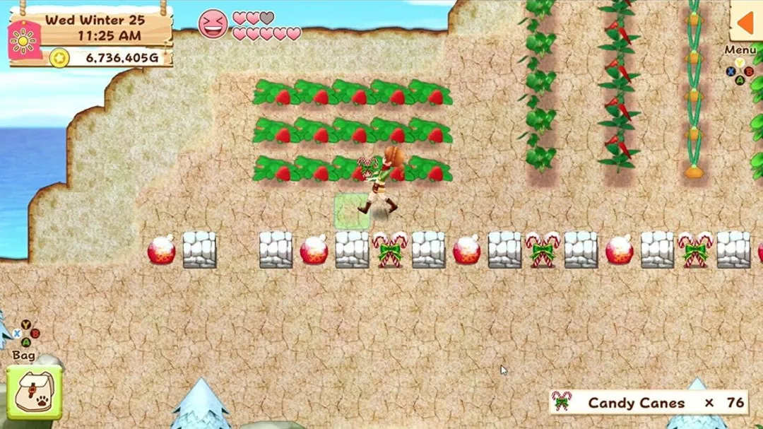 Plaion Harvest Moon - Light of Hope Collector's Edition - afbeelding 6 van 6