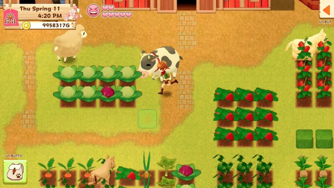 Plaion Harvest Moon - Light of Hope Collector's Edition