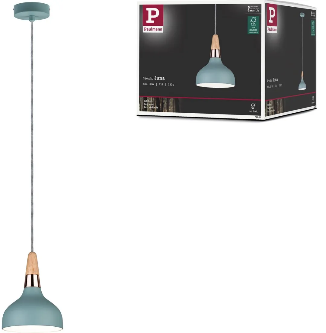 Paulmann Juna Hanglamp E14 20W